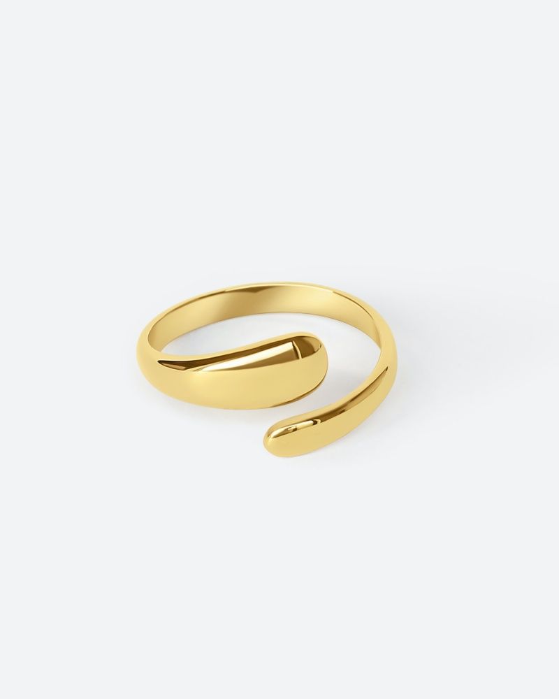anillo-lara
